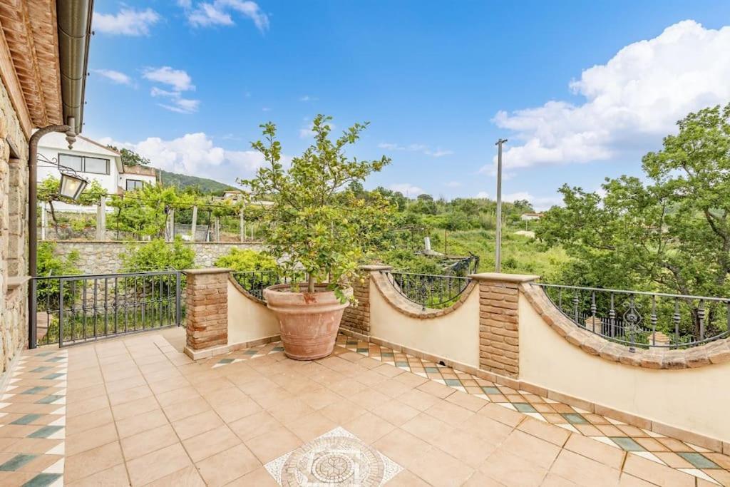 La Villa Di Nonna Angela بيسكيوتا المظهر الخارجي الصورة